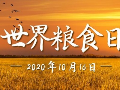世界糧食日|光盤行動(dòng)，睿寂行空壓機(jī)在行動(dòng)......